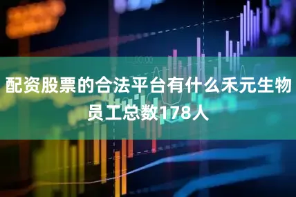 配资股票的合法平台有什么禾元生物员工总数178人