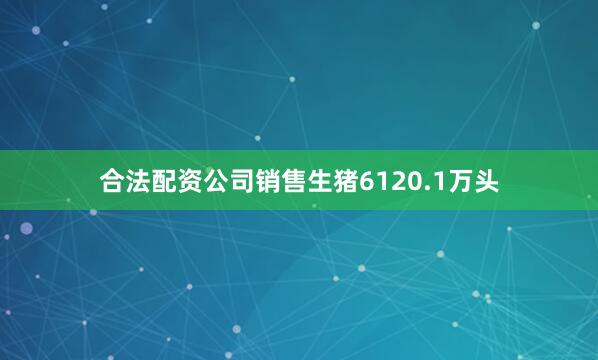 合法配资公司销售生猪6120.1万头
