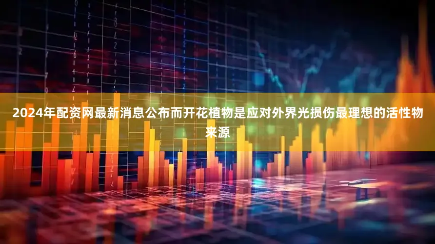 2024年配资网最新消息公布而开花植物是应对外界光损伤最理想的活性物来源